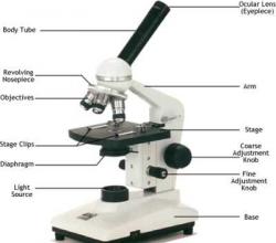 Ограничения электронного микроскопа