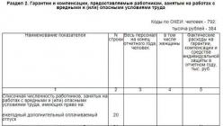 Инструкция по заполнению формы