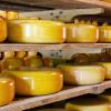 Poslovni plan za proizvodnju sira: kako otvoriti siranu i gdje započeti proizvodnju sira Proizvodnja sira kao posao
